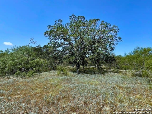33.76 acres in Gonzales County