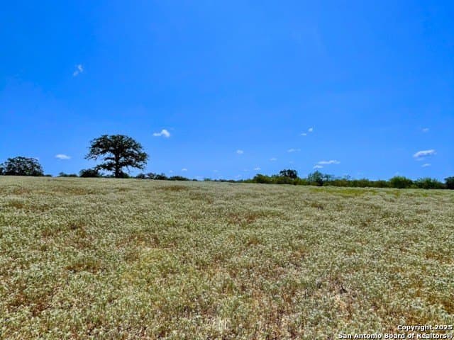 33.76 acres in Gonzales County gallery image 2