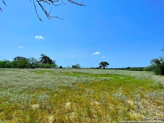 33.76 acres in Gonzales County featured view