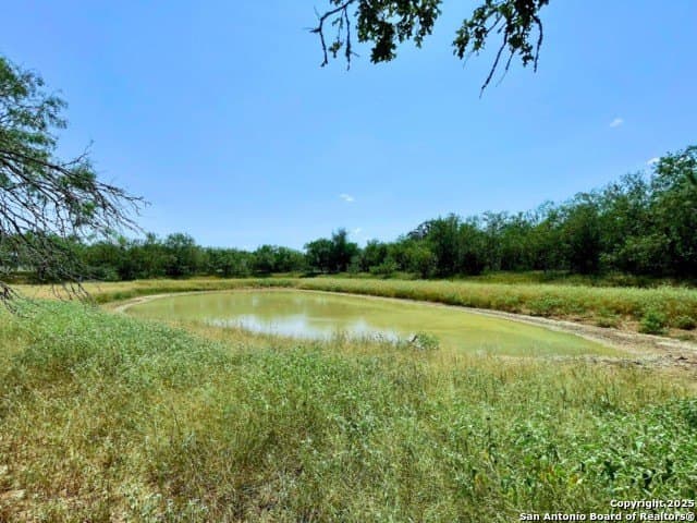 33.76 acres in Gonzales County gallery image 3