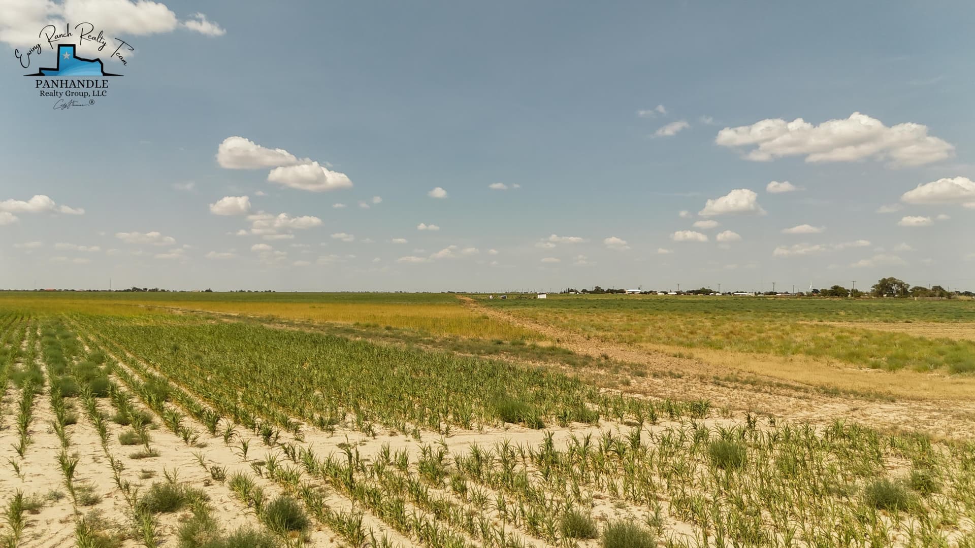 2.5 acres in Hockley County gallery image 3