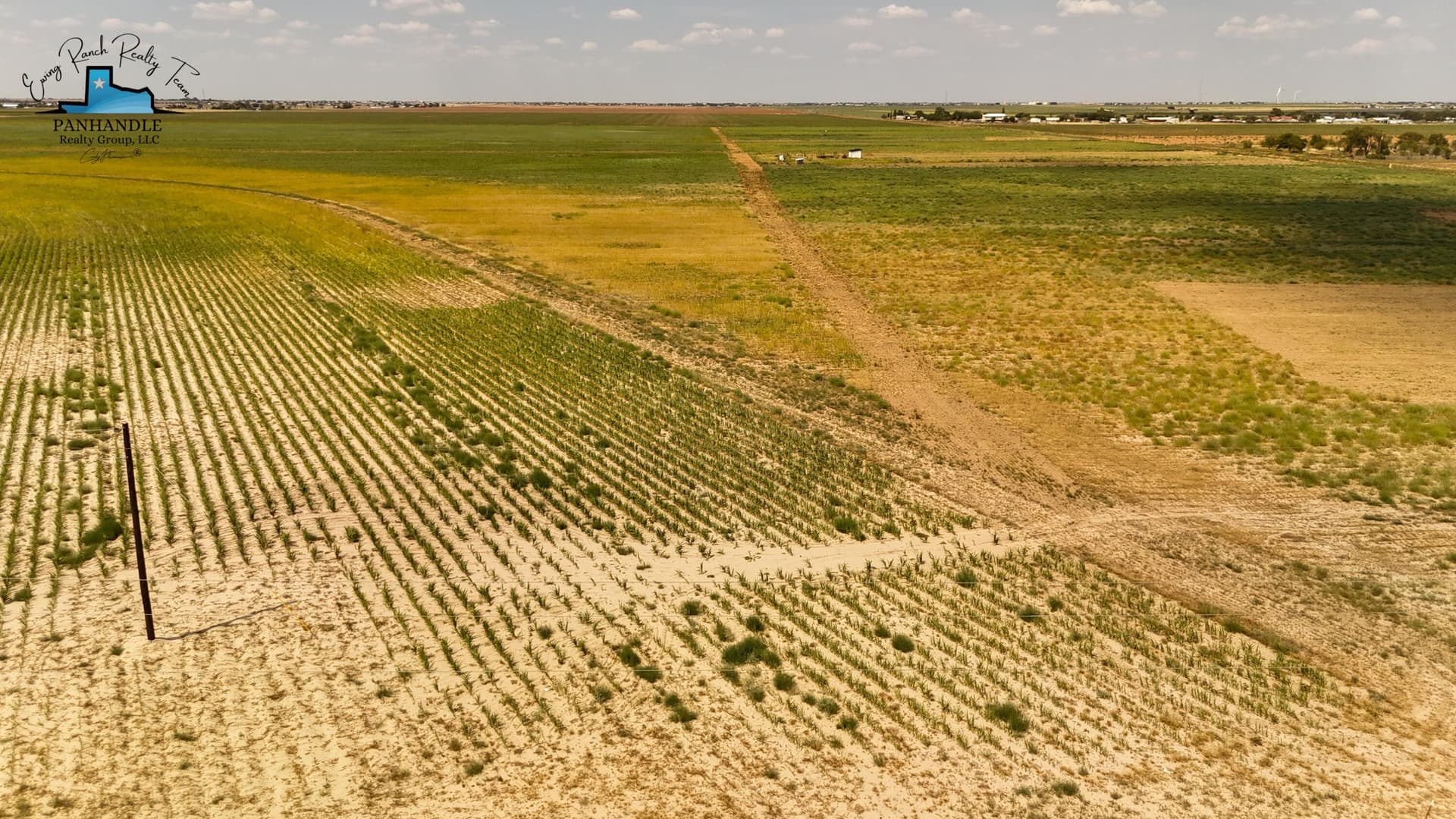 2.5 acres in Hockley County gallery image 2