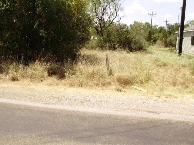 0.31 acres in Llano County - photo 3