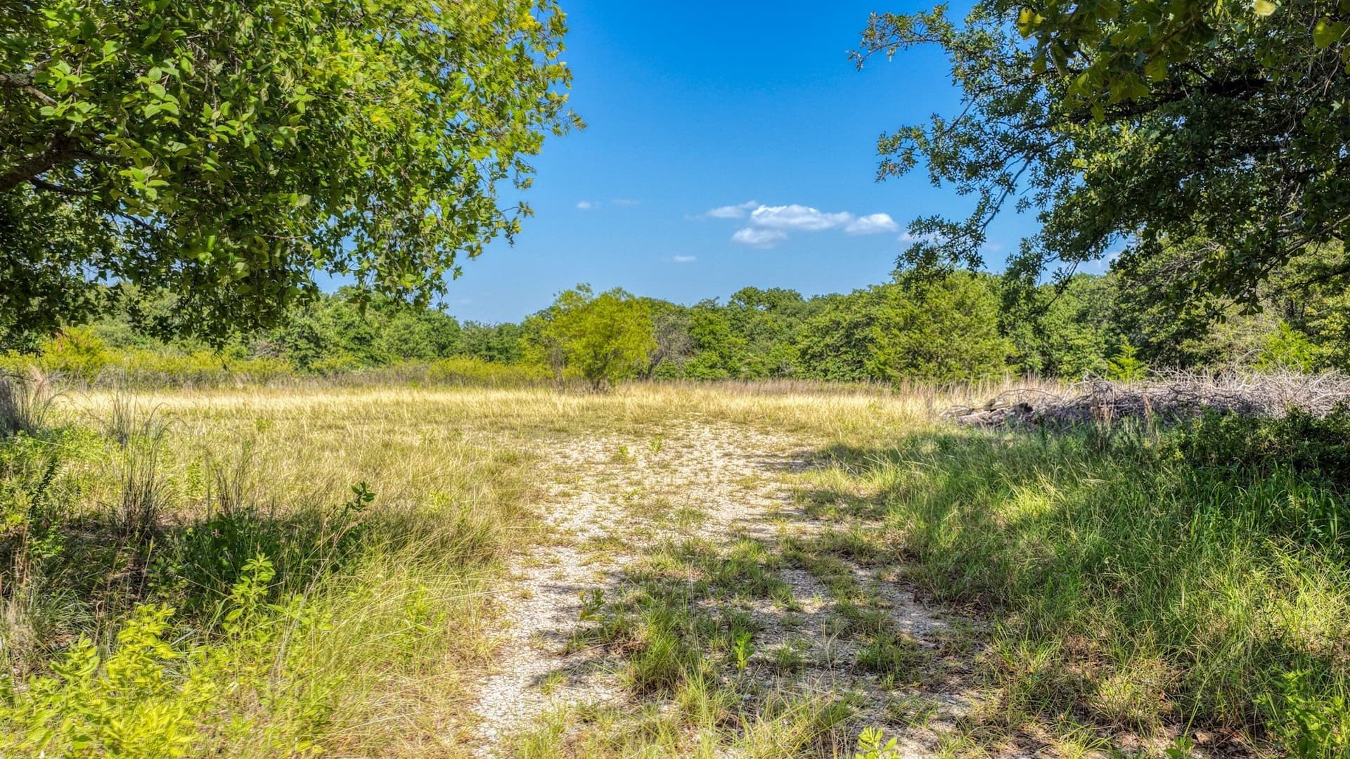 10.01 acres in Wise County - photo 12