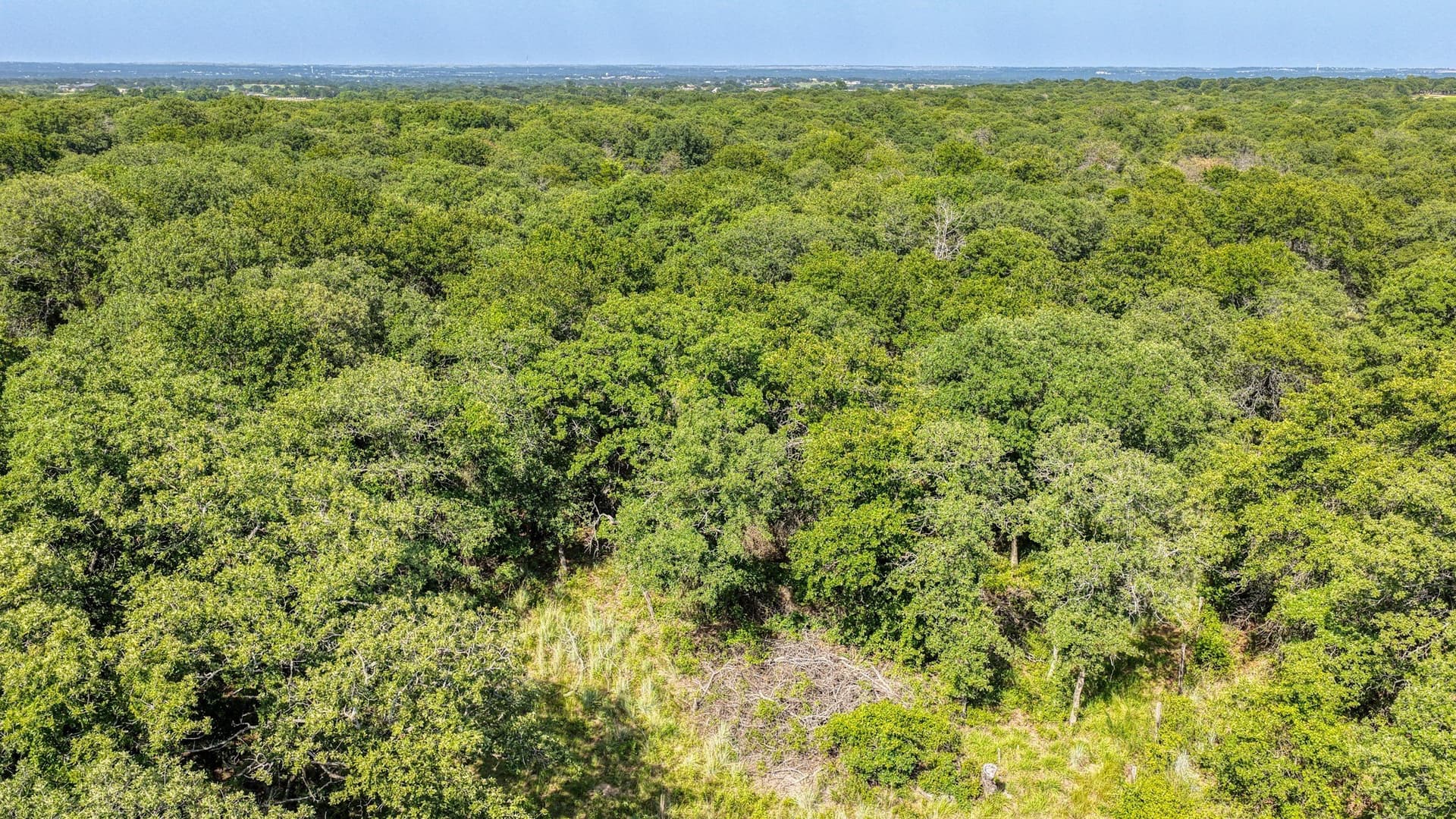 10.01 acres in Wise County - photo 17
