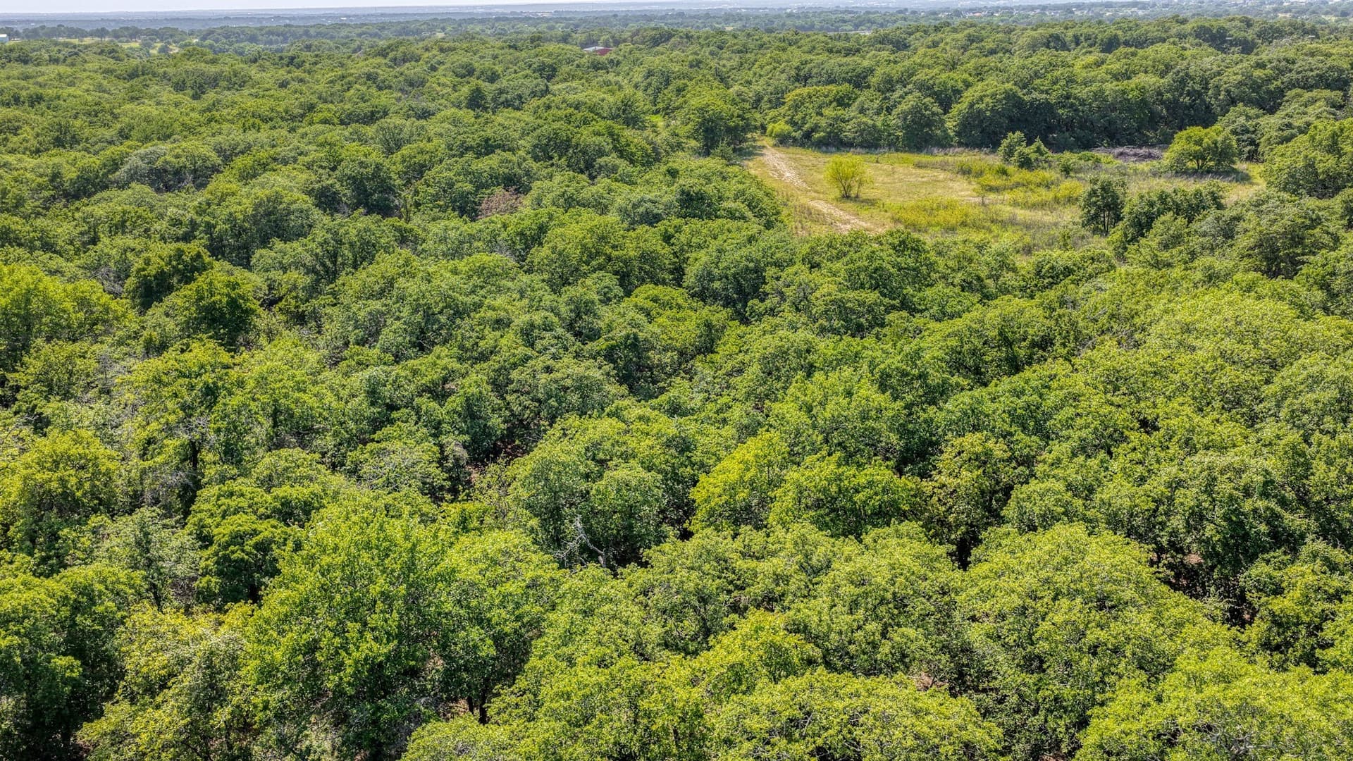 10.01 acres in Wise County - photo 11