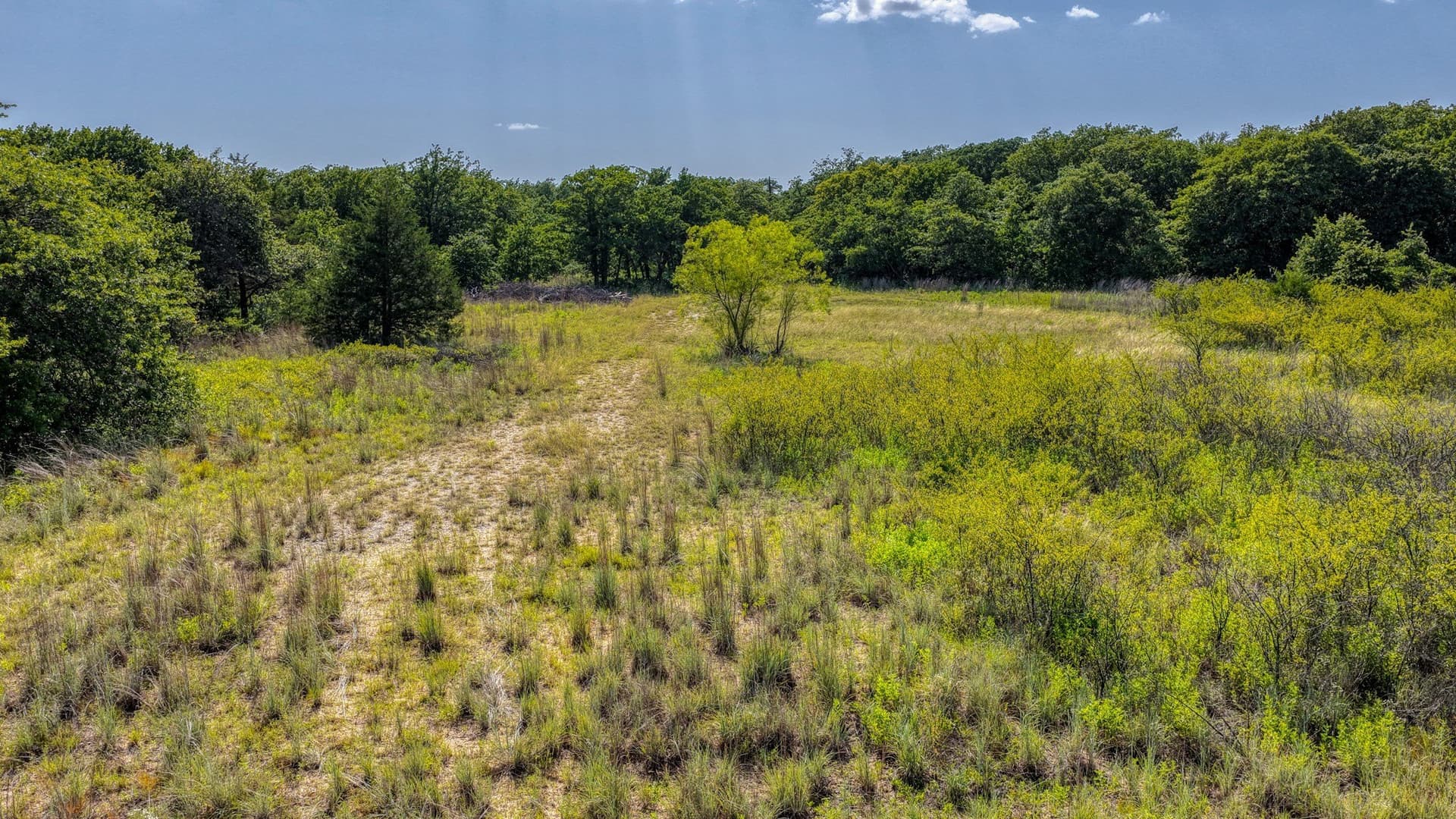 10.01 acres in Wise County - photo 3