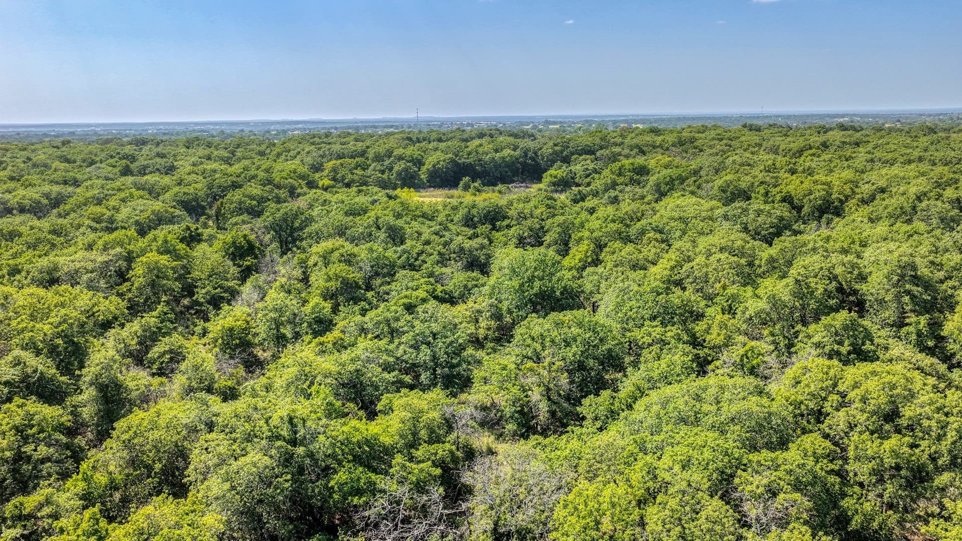 10.01 acres in Wise County - photo 9