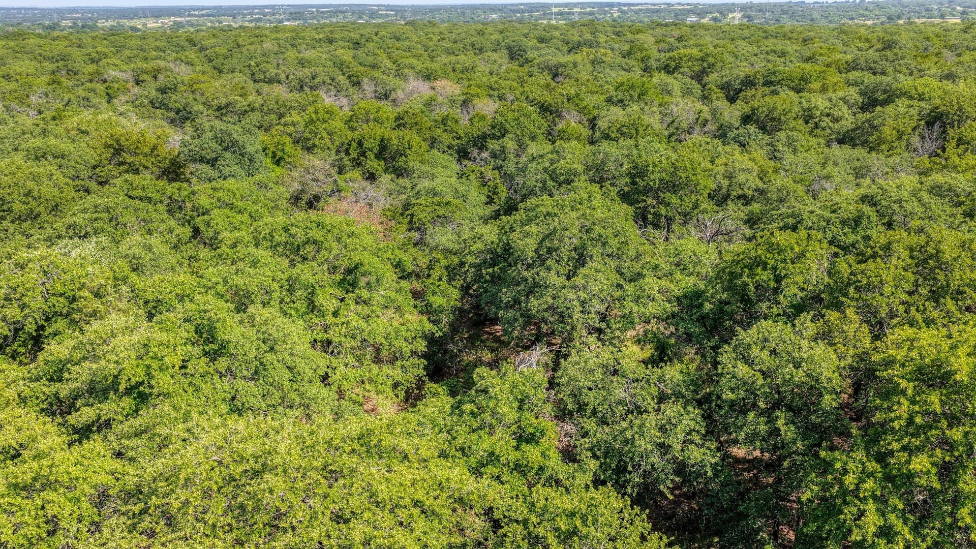 10.01 acres in Wise County - photo 13