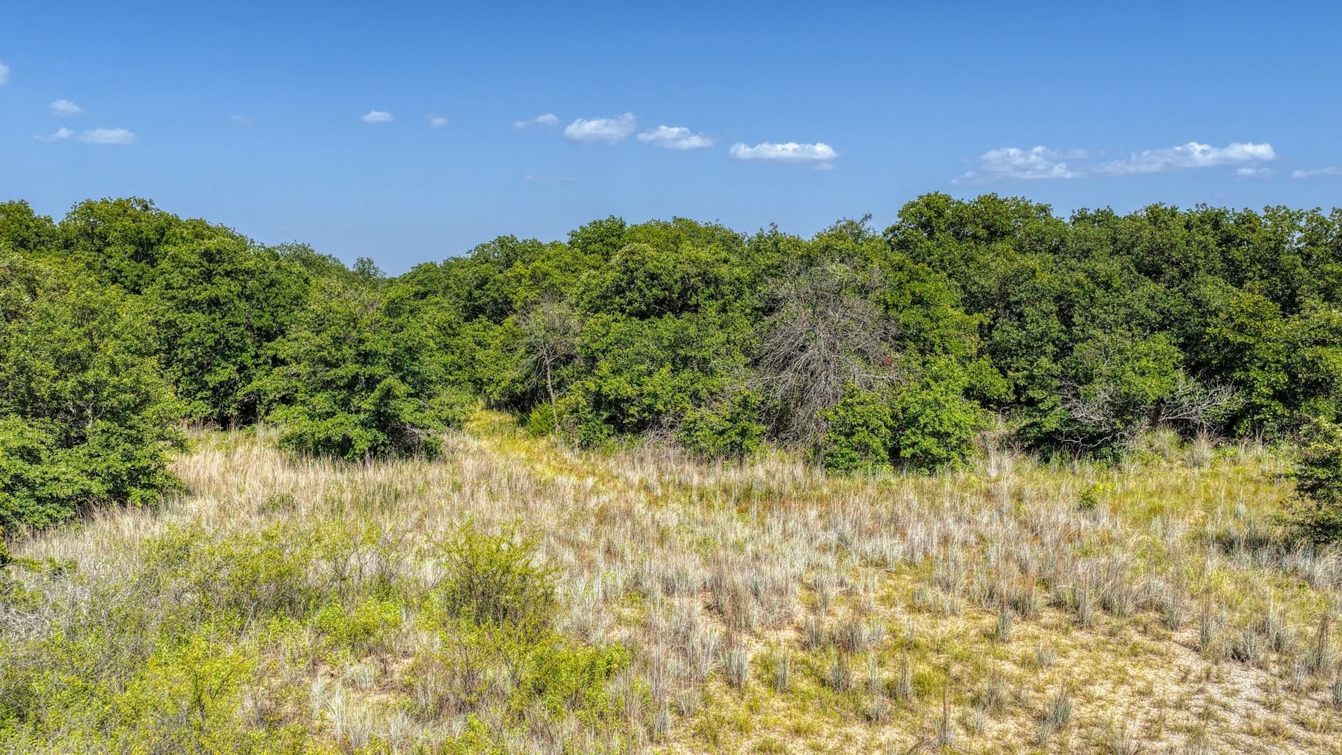 10.01 acres in Wise County - photo 8