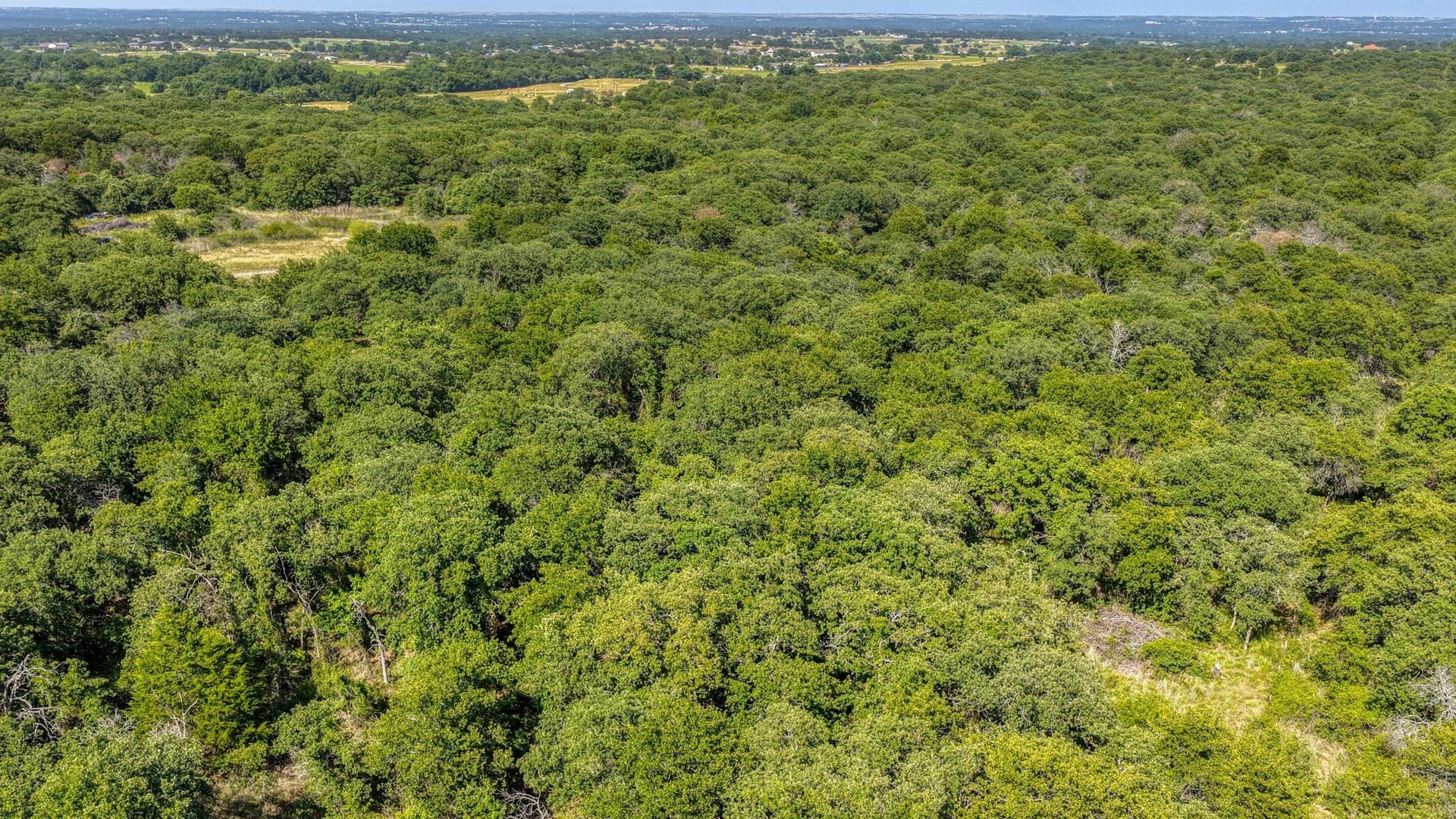 10.01 acres in Wise County - photo 18