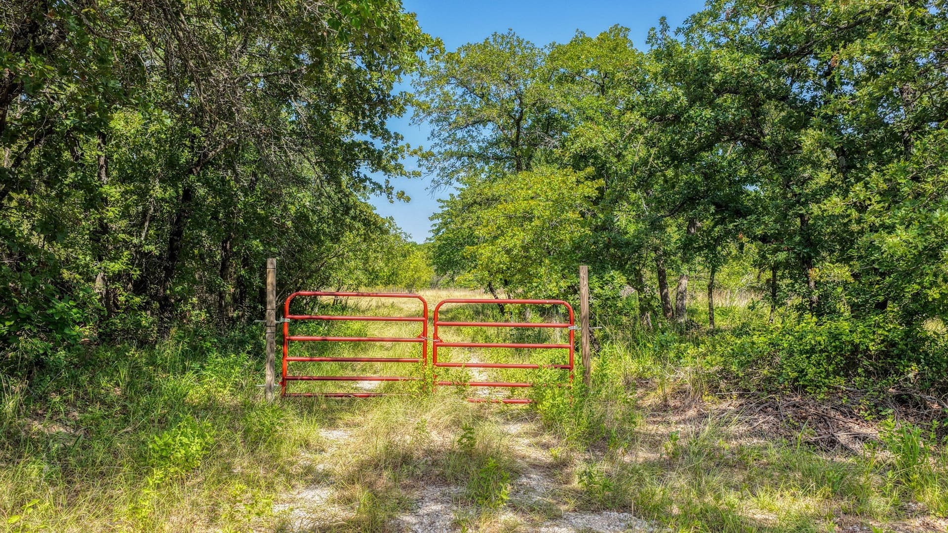 10.01 acres in Wise County - photo 5