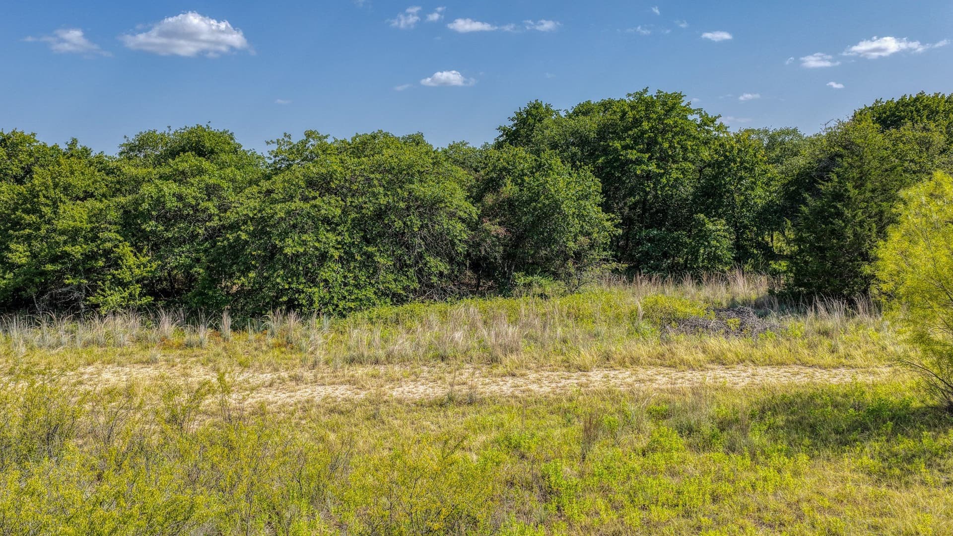 10.01 acres in Wise County - photo 2