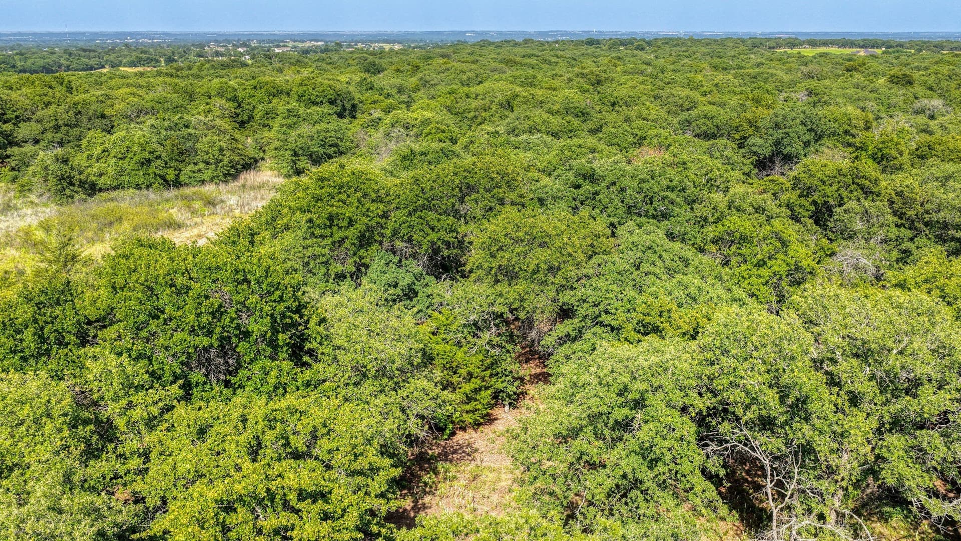 10.01 acres in Wise County - photo 15