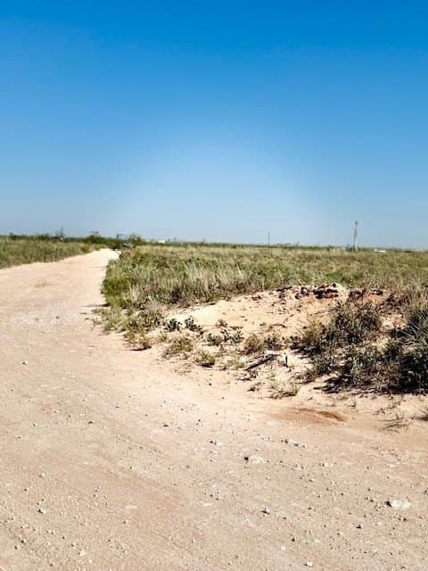 107 acres in Gaines County gallery image 2