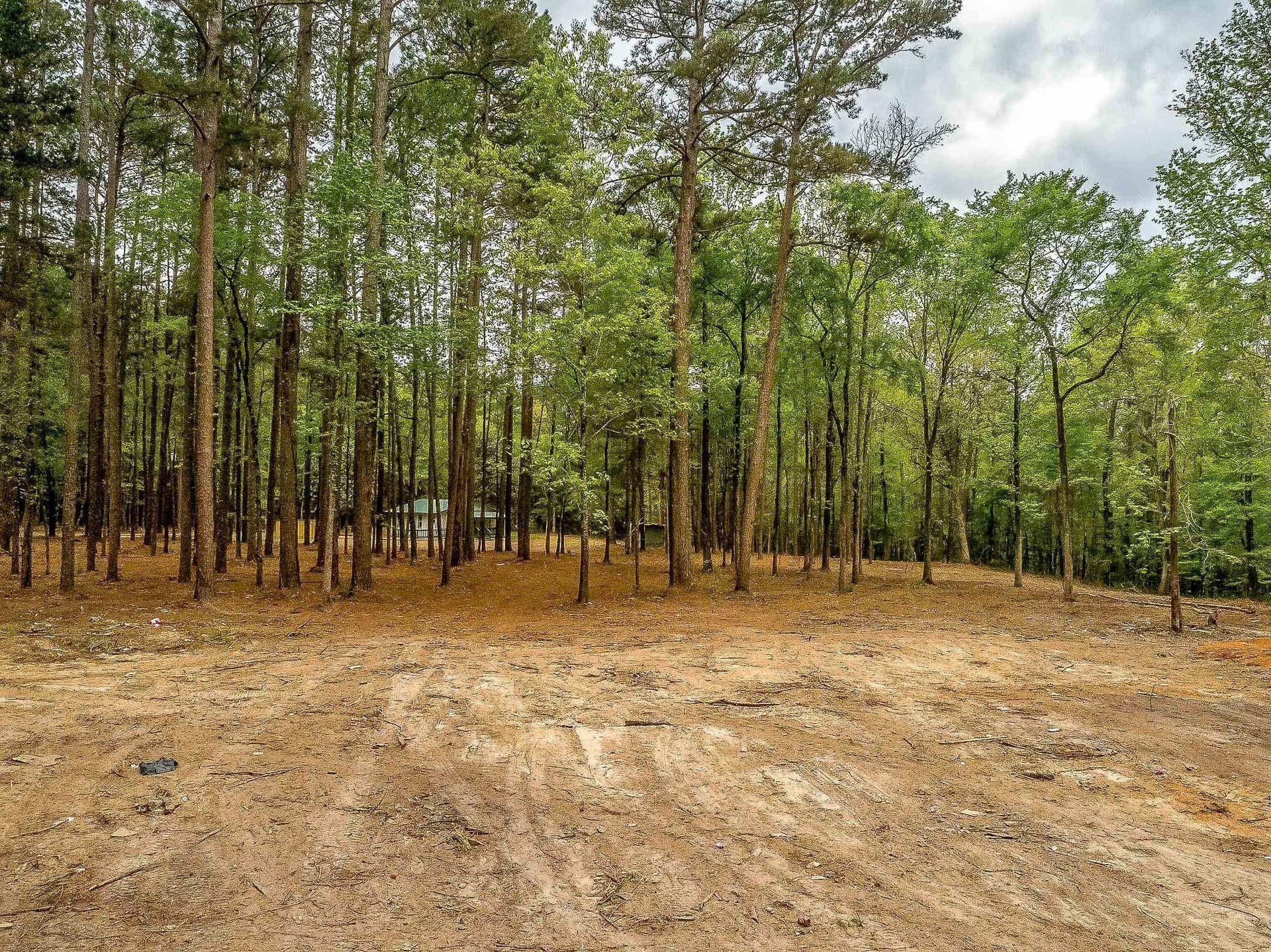 50.25 acres in Upshur County gallery image 2
