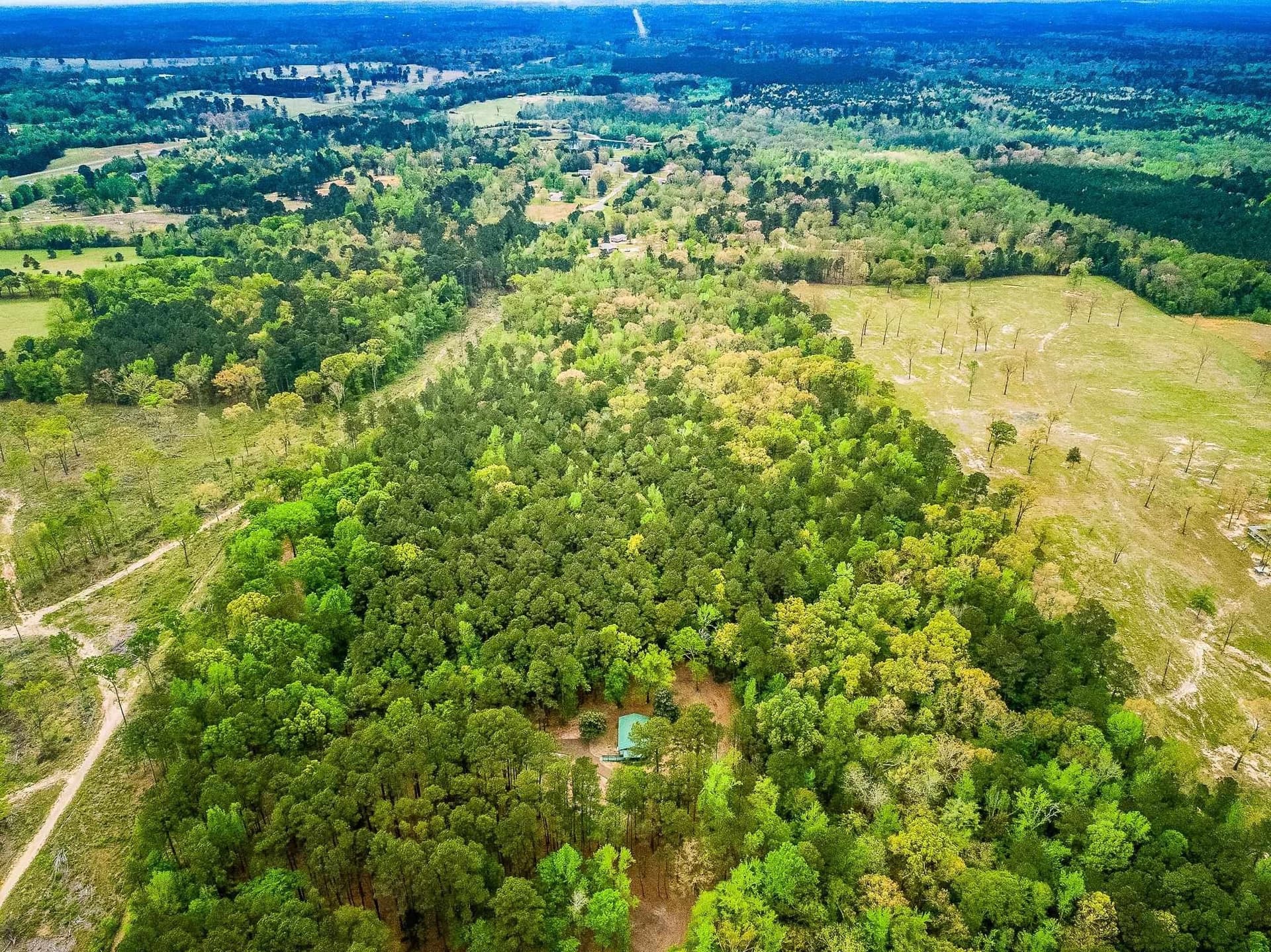 50.25 acres in Upshur County - photo 7
