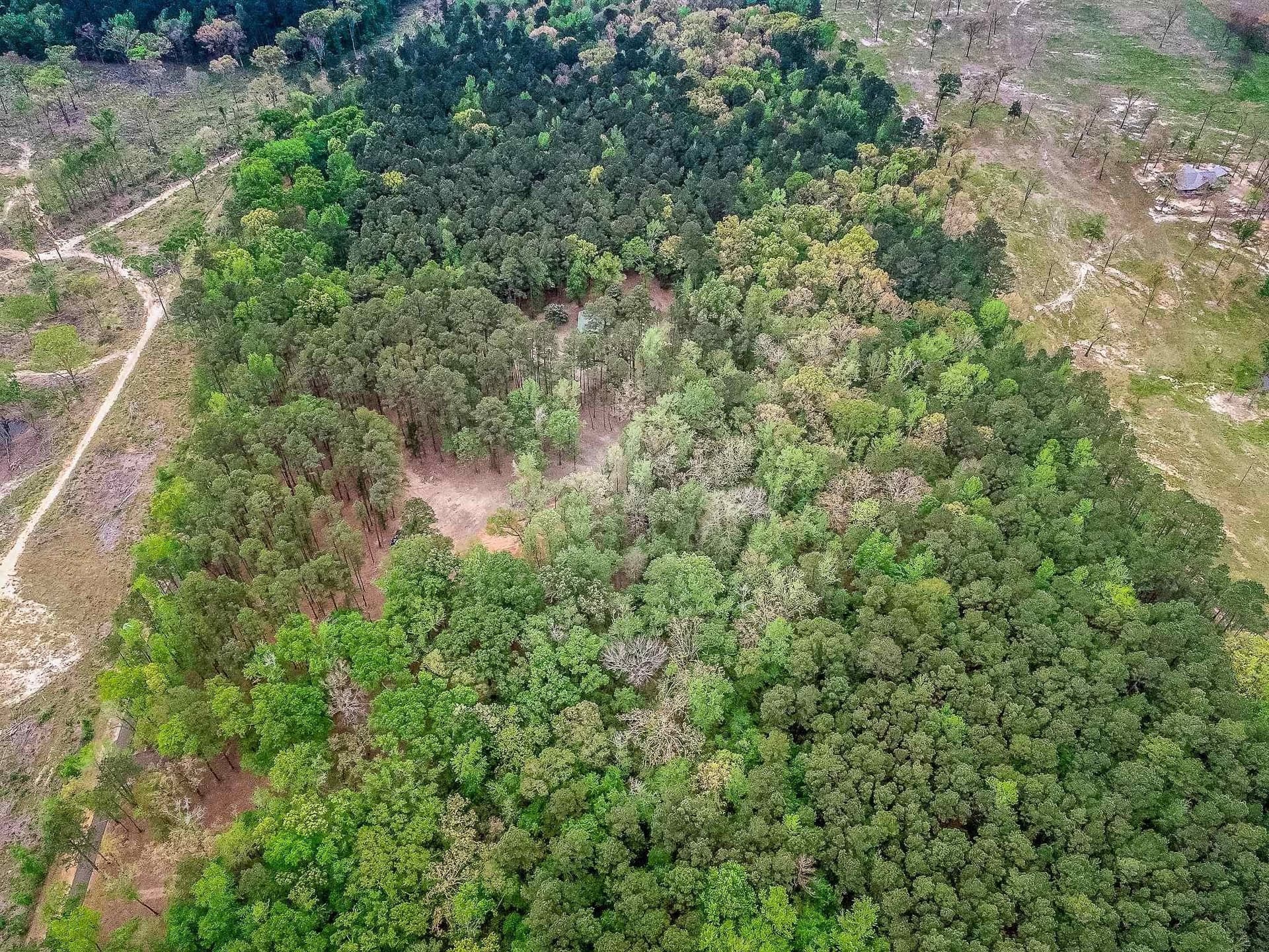 50.25 acres in Upshur County - photo 6