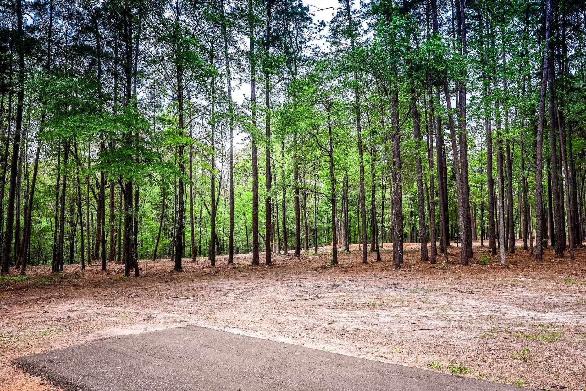 50.25 acres in Upshur County - photo 21