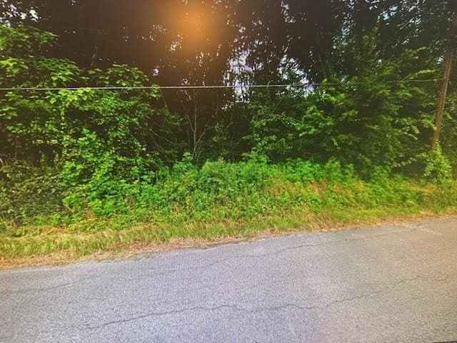 3.28 acres in Freestone County gallery image 2