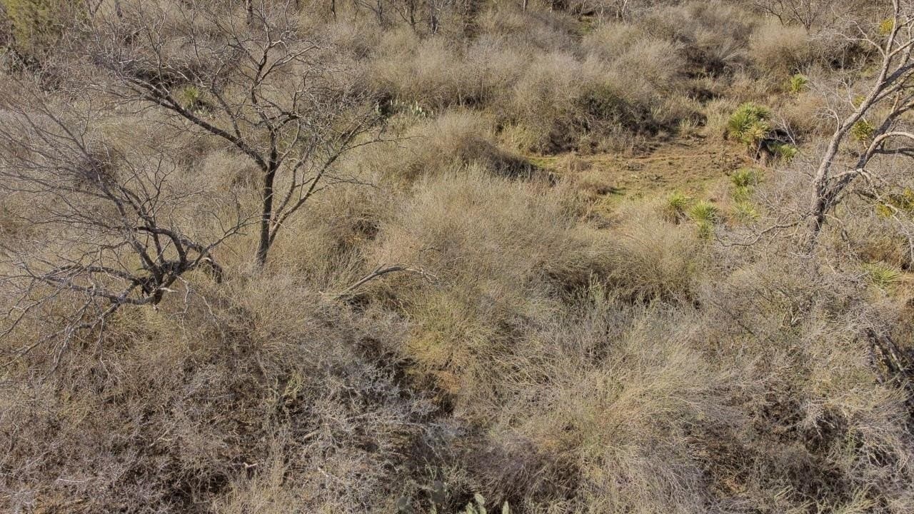 0.22 acres in Burnet County - photo 4