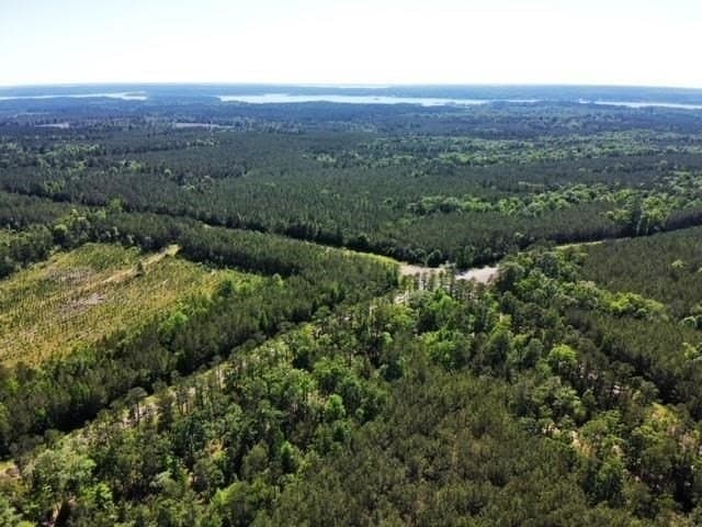 2 acres in Texas County featured view