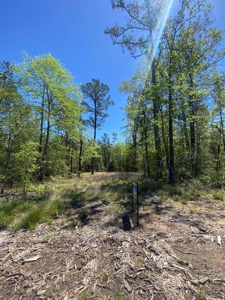 2 acres in Texas County