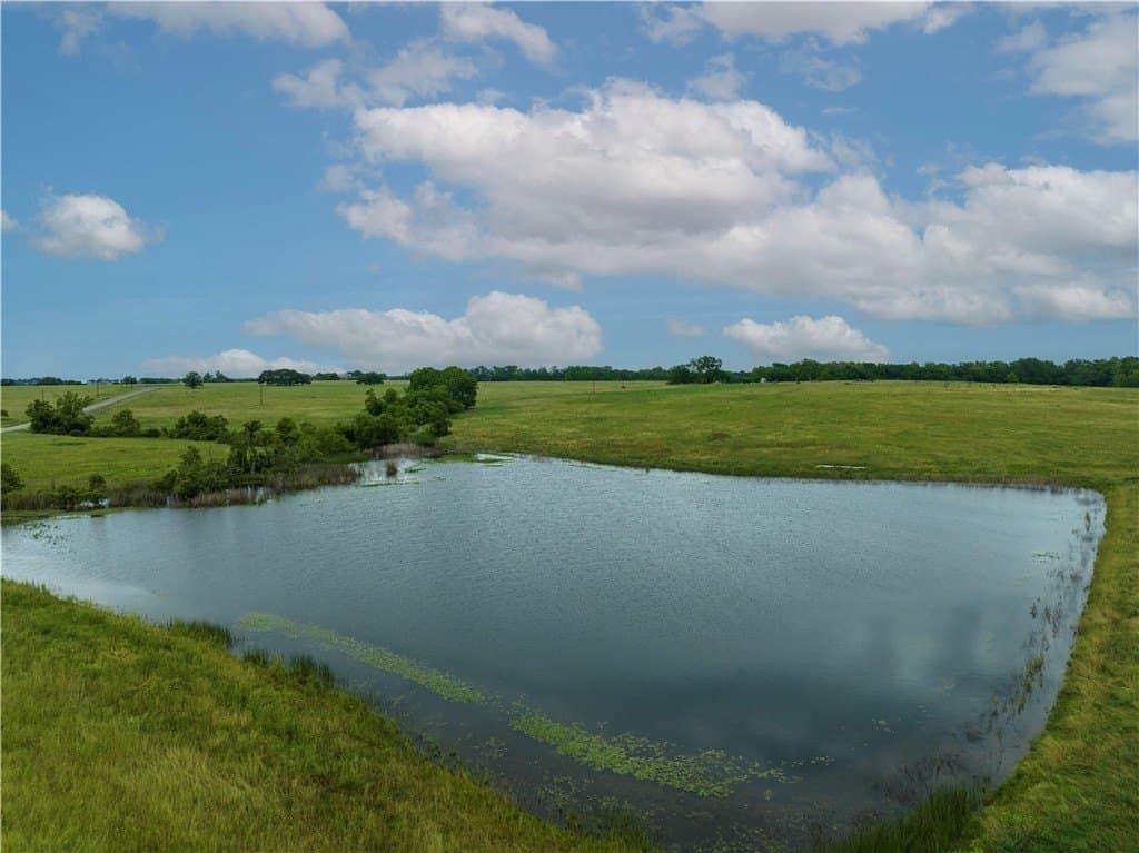 46.38 acres in AUSTIN County - photo 5
