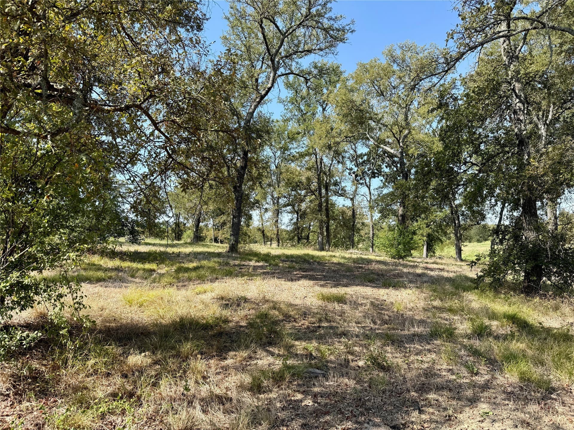 1.01 acres in Navarro County - photo 16
