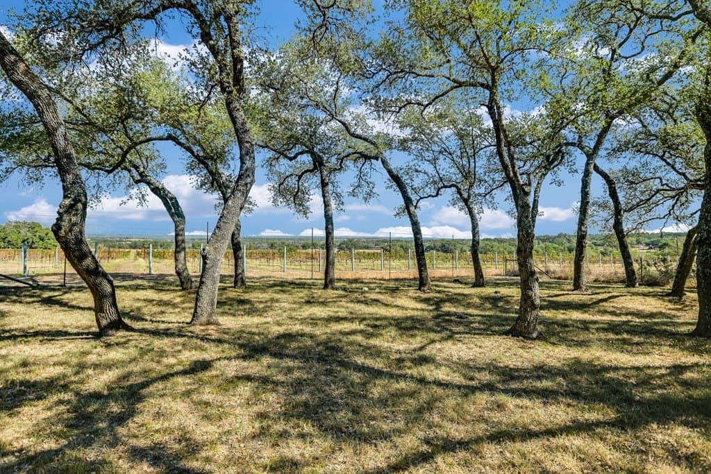 95 acres in Blanco County featured view