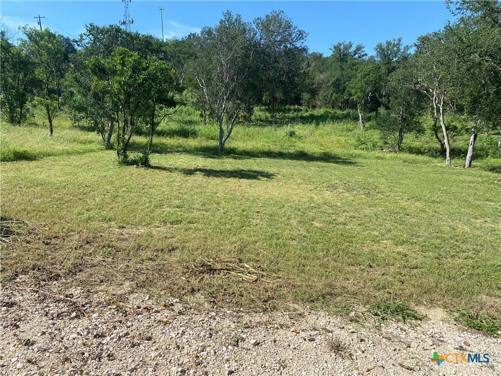 1.51 acres in Medina County - photo 12