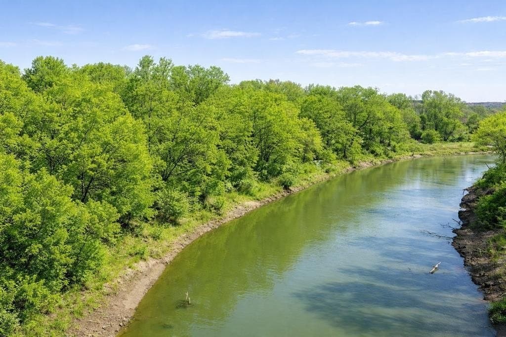 11.02 acres in Anderson County gallery image 2