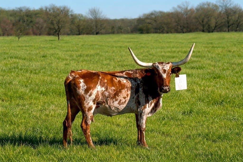 11.02 acres in Anderson County featured view