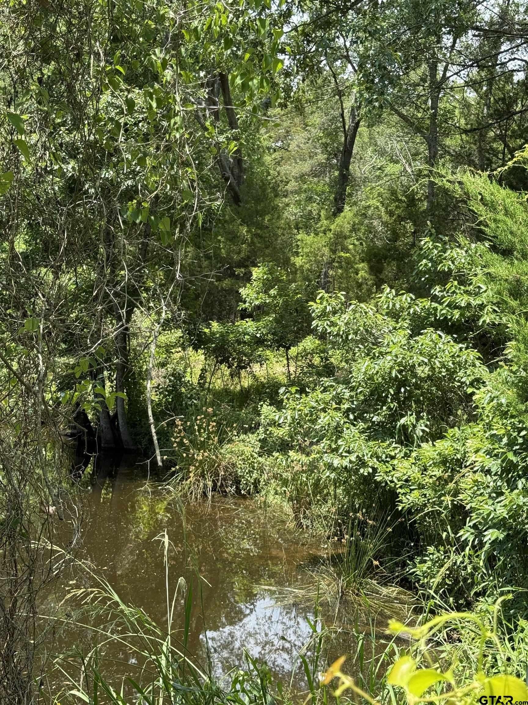 0.62 acres in Smith County gallery image 2