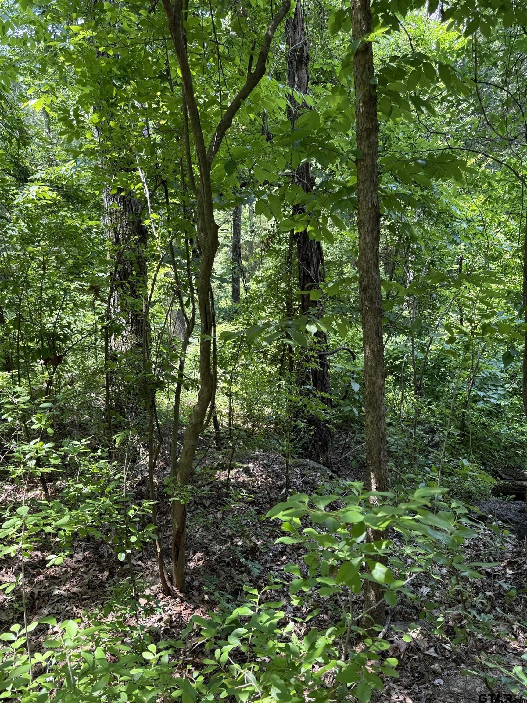0.62 acres in Smith County featured view