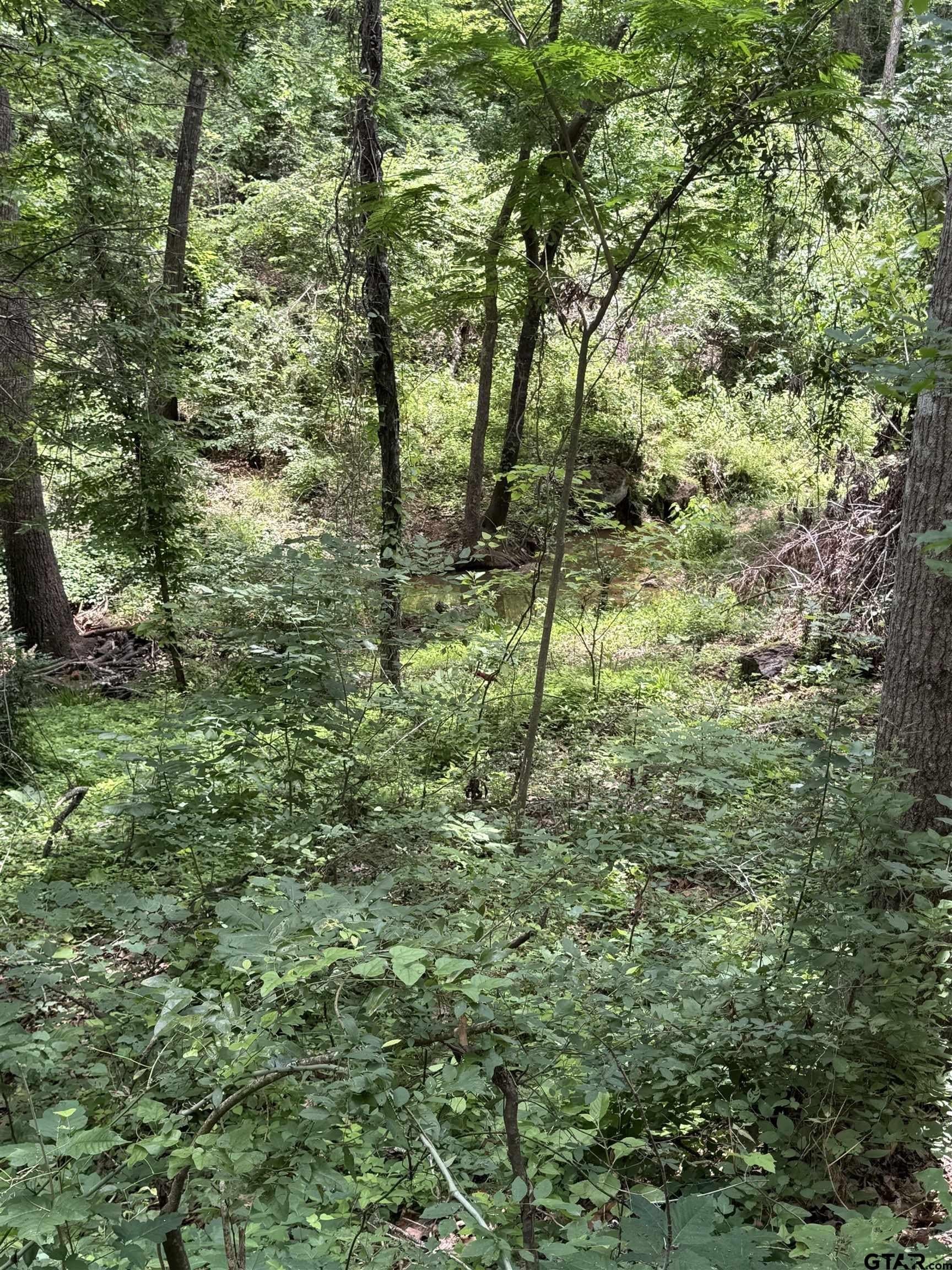0.62 acres in Smith County gallery image 4