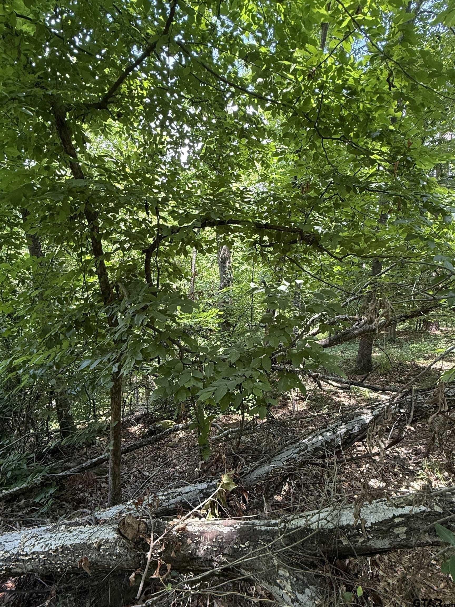 0.62 acres in Smith County gallery image 3