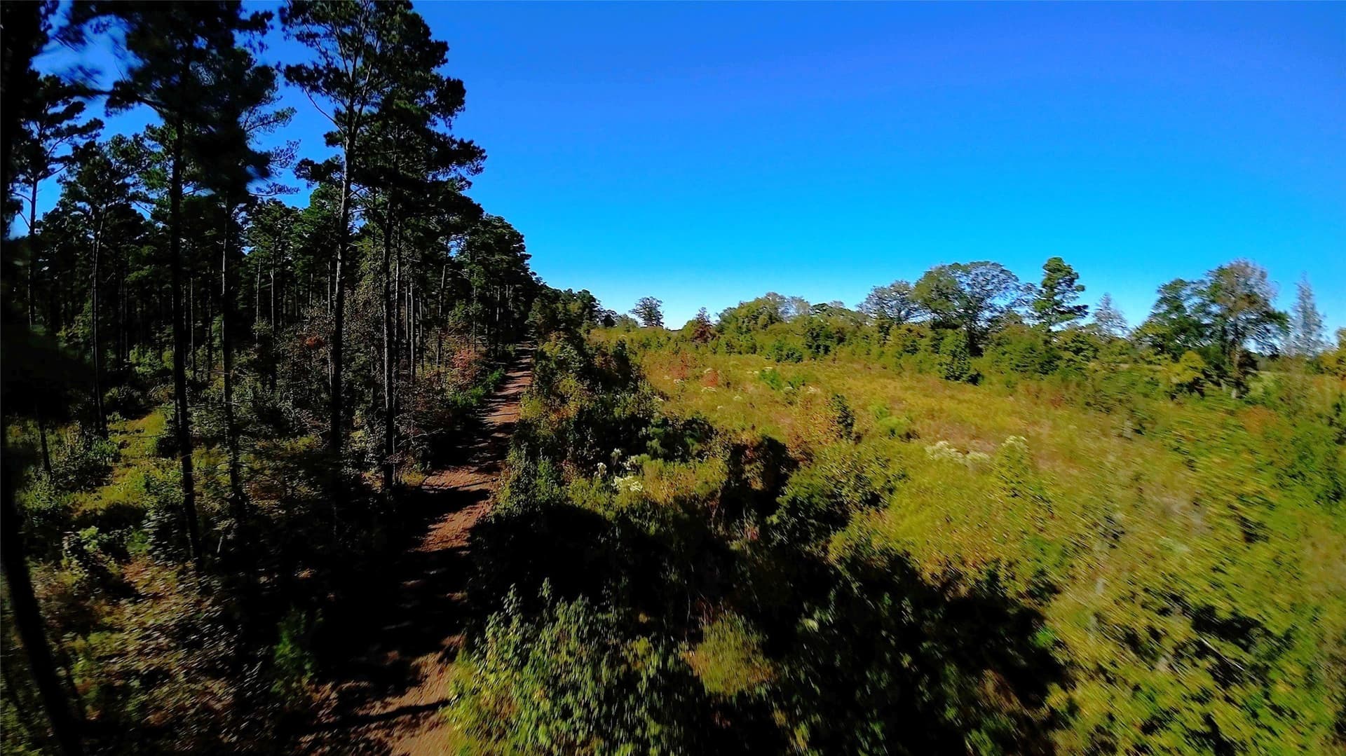 27.02 acres in Upshur County - photo 5