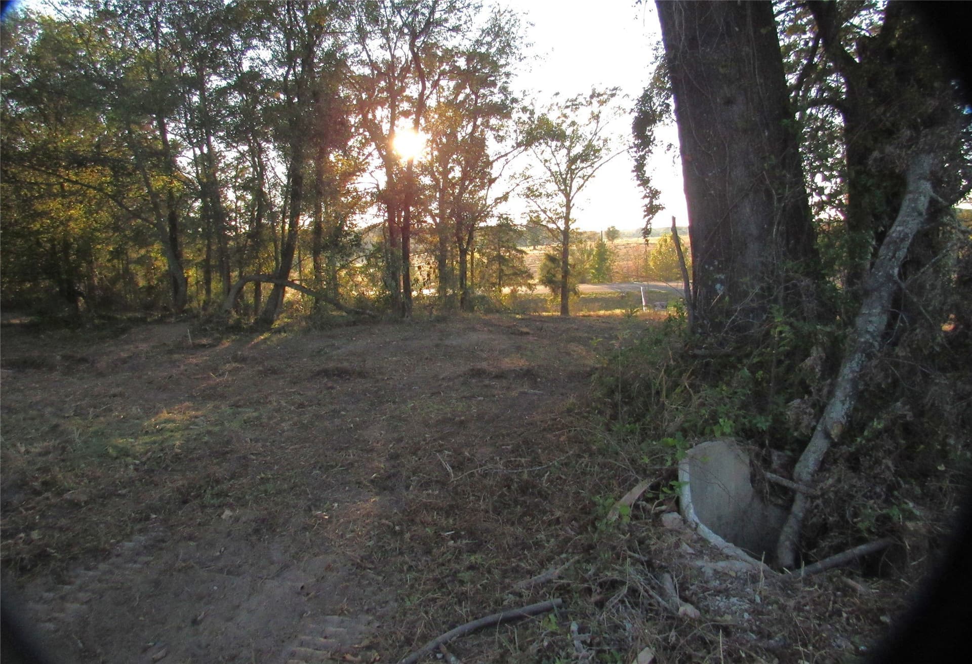 27.02 acres in Upshur County - photo 14