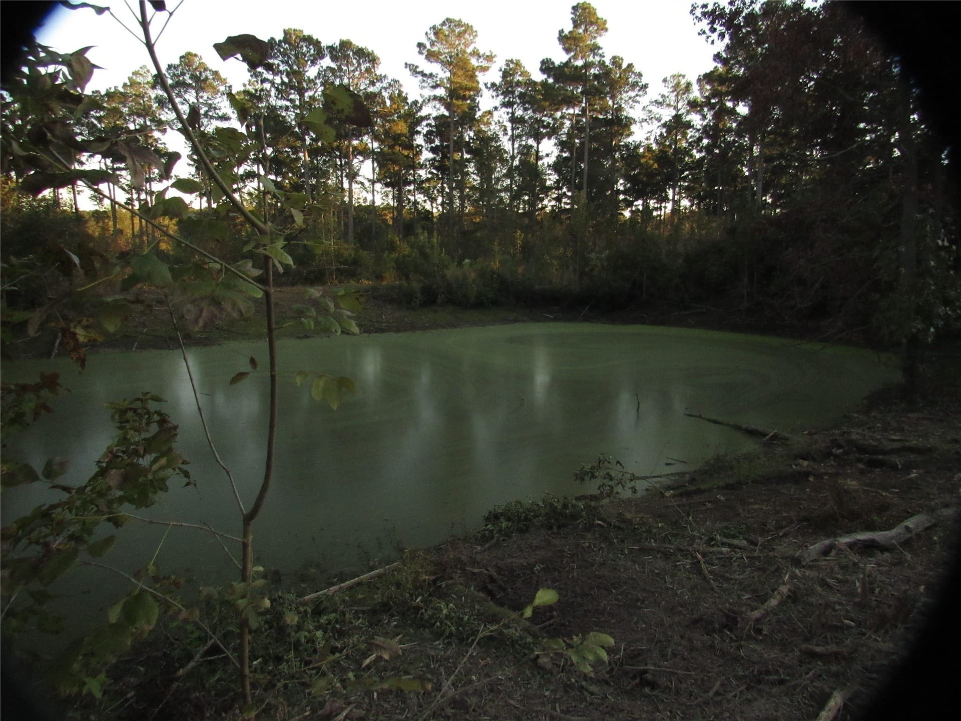 27.02 acres in Upshur County - photo 11
