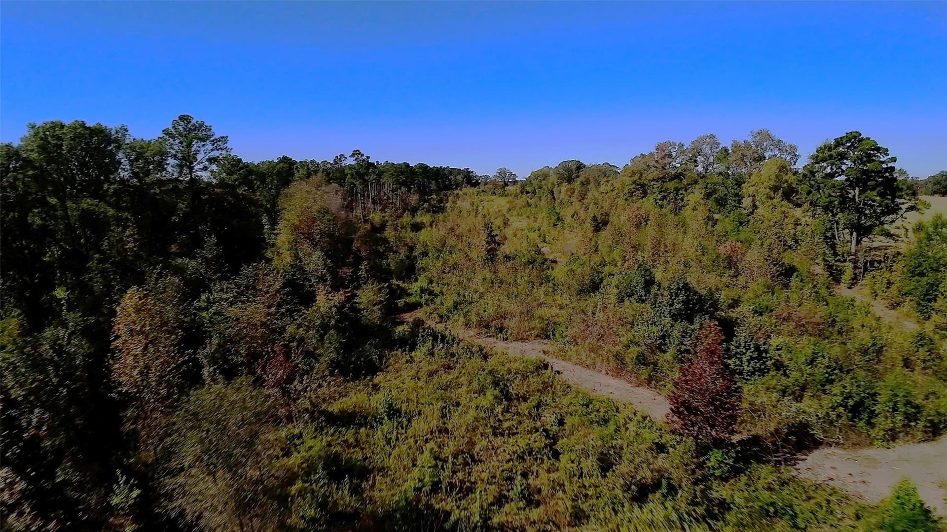 27.02 acres in Upshur County - photo 3