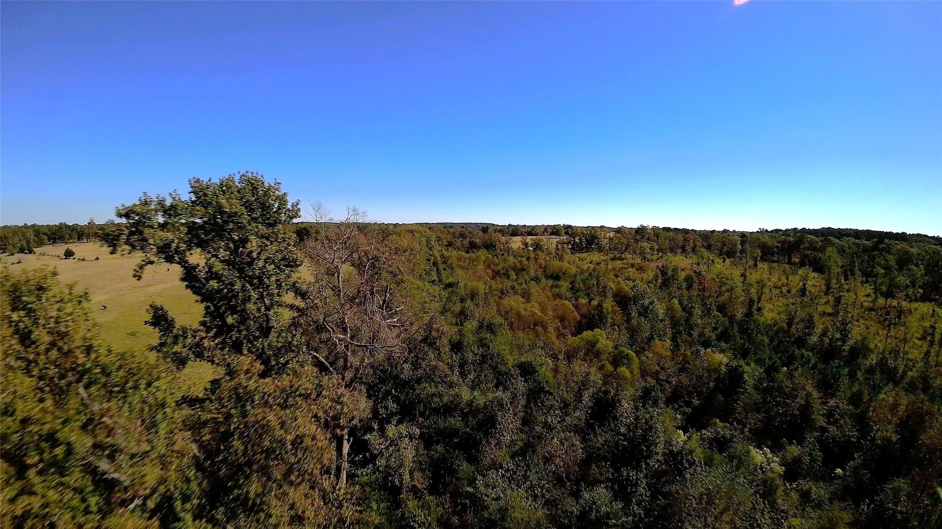 27.02 acres in Upshur County - photo 19