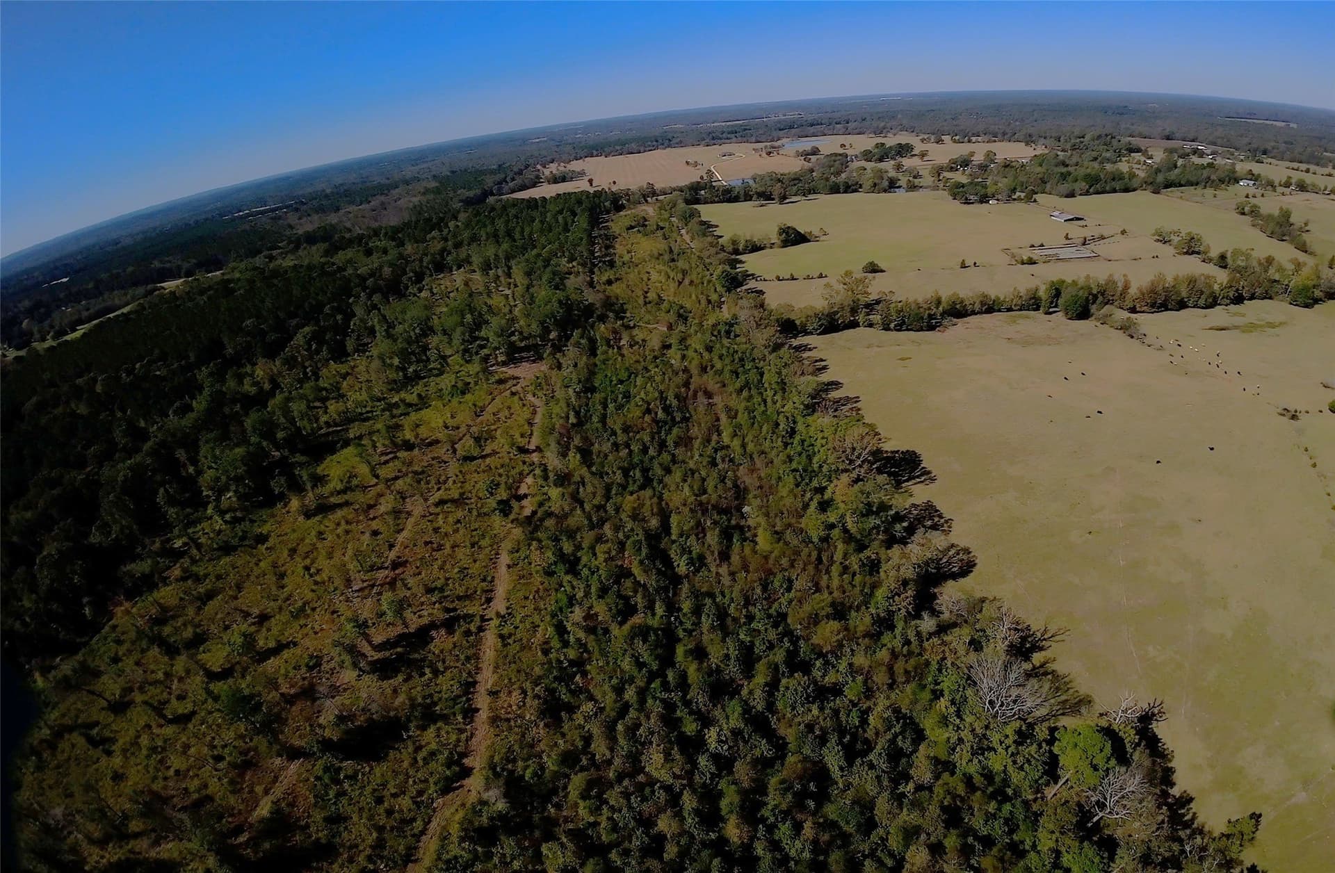 27.02 acres in Upshur County - photo 10