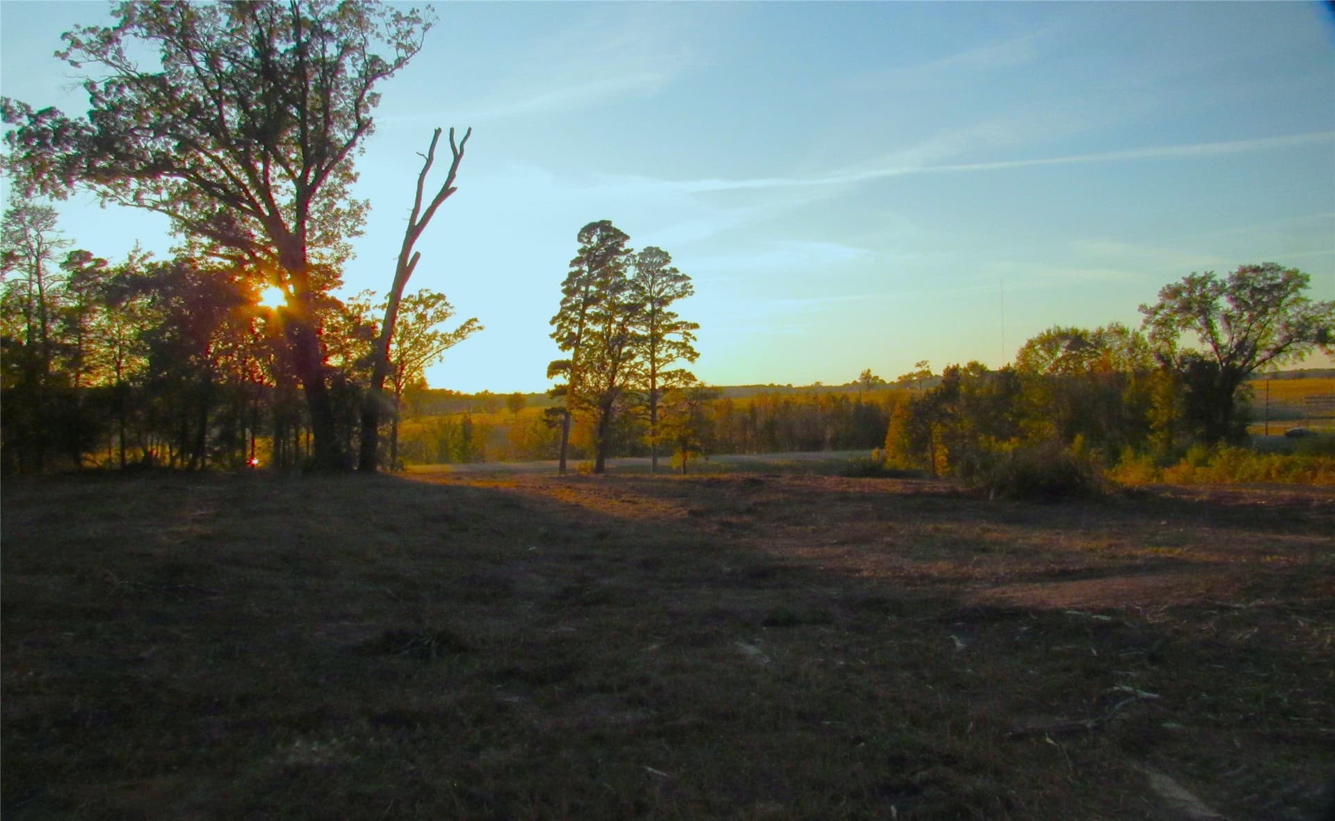 27.02 acres in Upshur County - photo 18