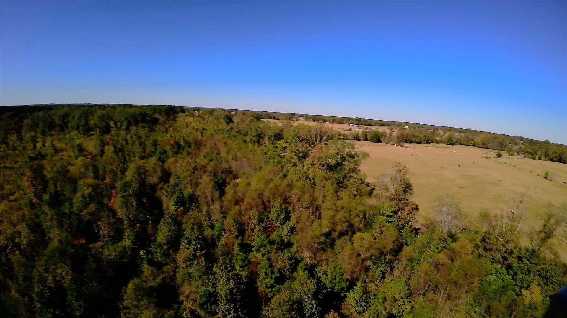 27.02 acres in Upshur County - photo 20