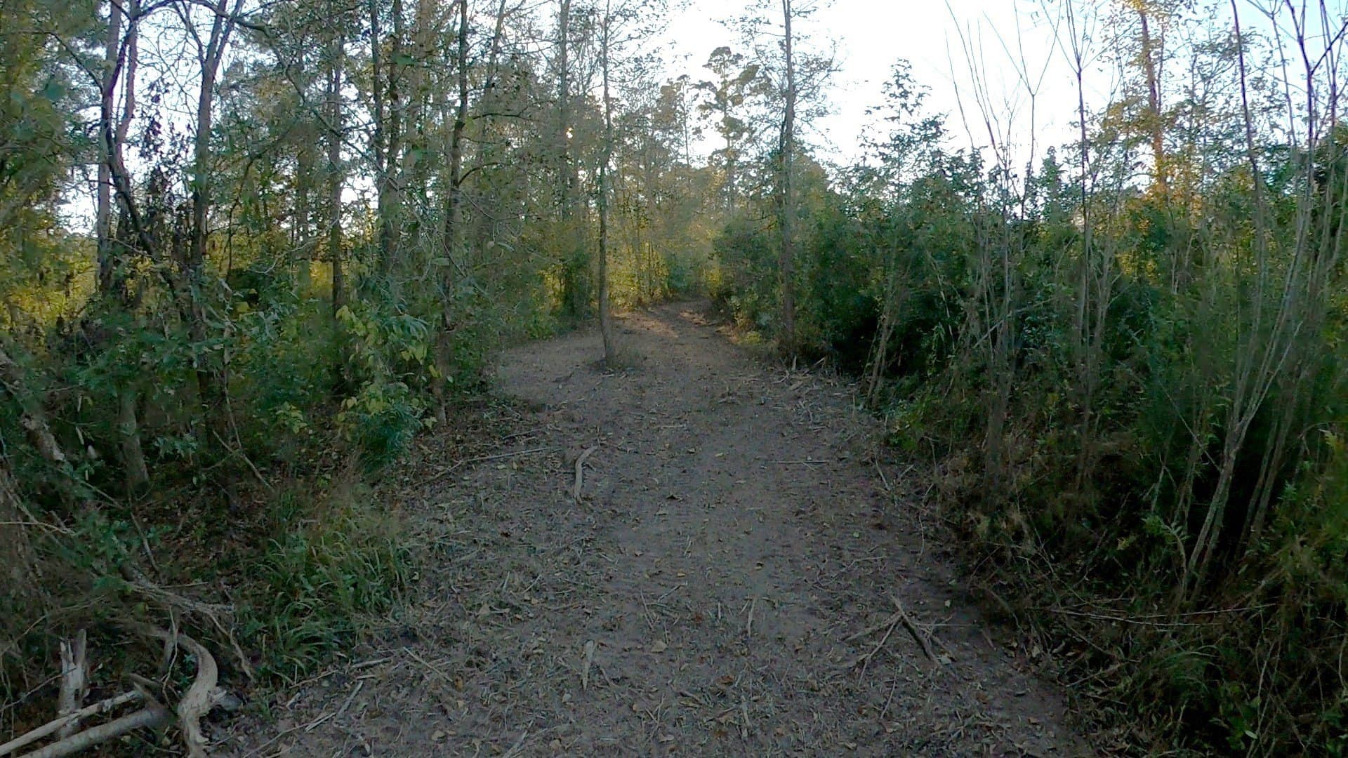 27.02 acres in Upshur County - photo 8