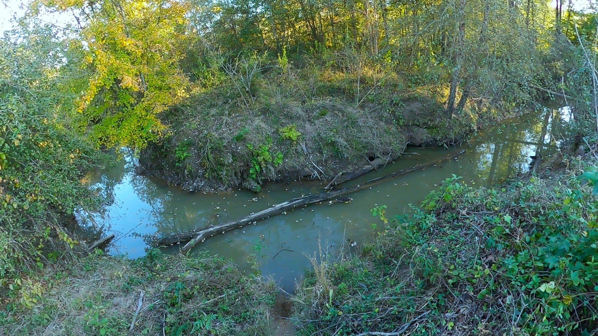 27.02 acres in Upshur County - photo 4