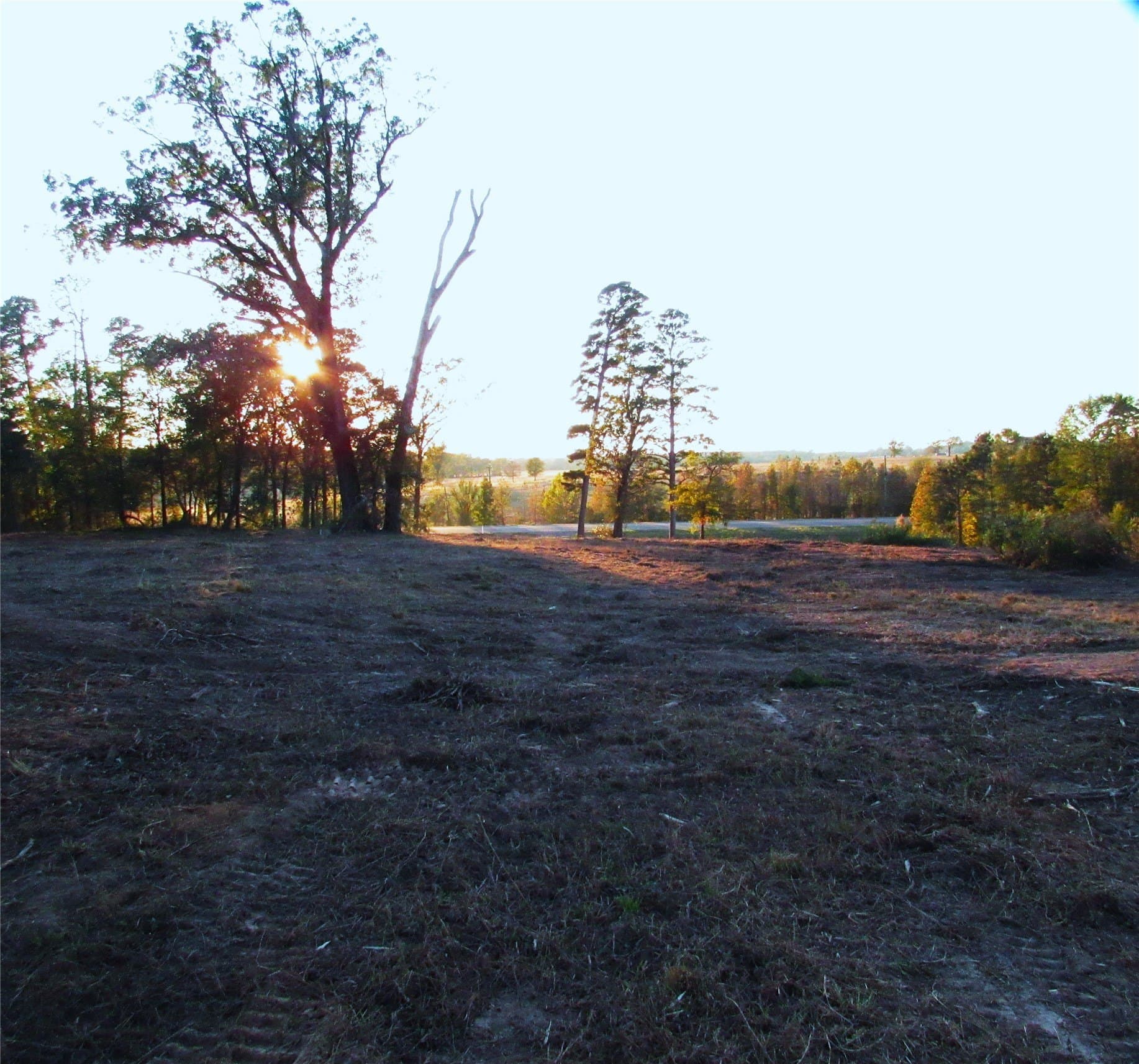 27.02 acres in Upshur County - photo 12