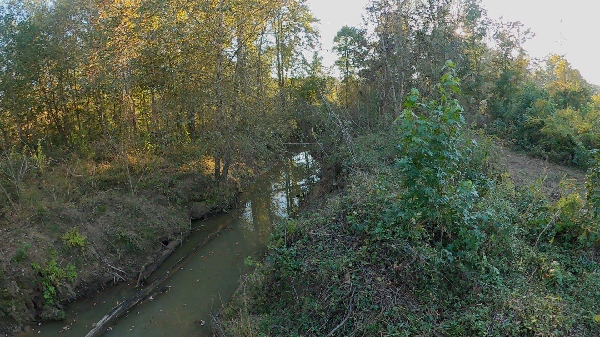 27.02 acres in Upshur County - photo 6