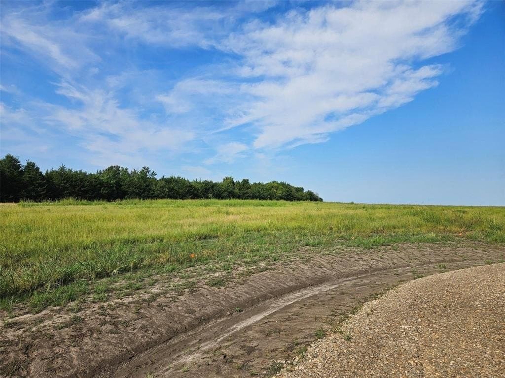 10.1 acres in Lamar County gallery image 3